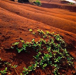 《机甲战士5：雇佣兵》新DLC上线 大量新任务及对手佣兵