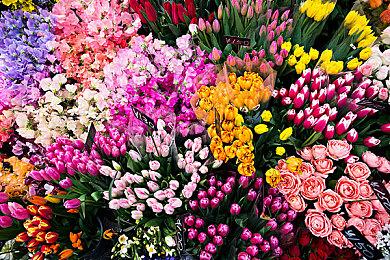 卡普空宣布收购Swordcanes Studio 增强开发技术能力