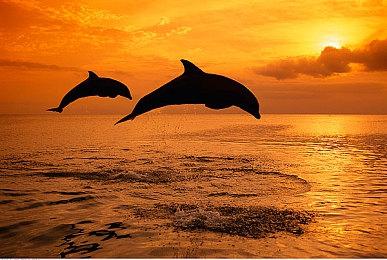 《尼克儿童频道全明星大乱斗》Oblina出招 10月5日发售