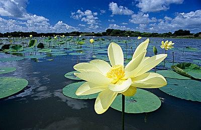 《乐高蝙蝠侠：黑暗骑士遗产》首曝31分钟实机